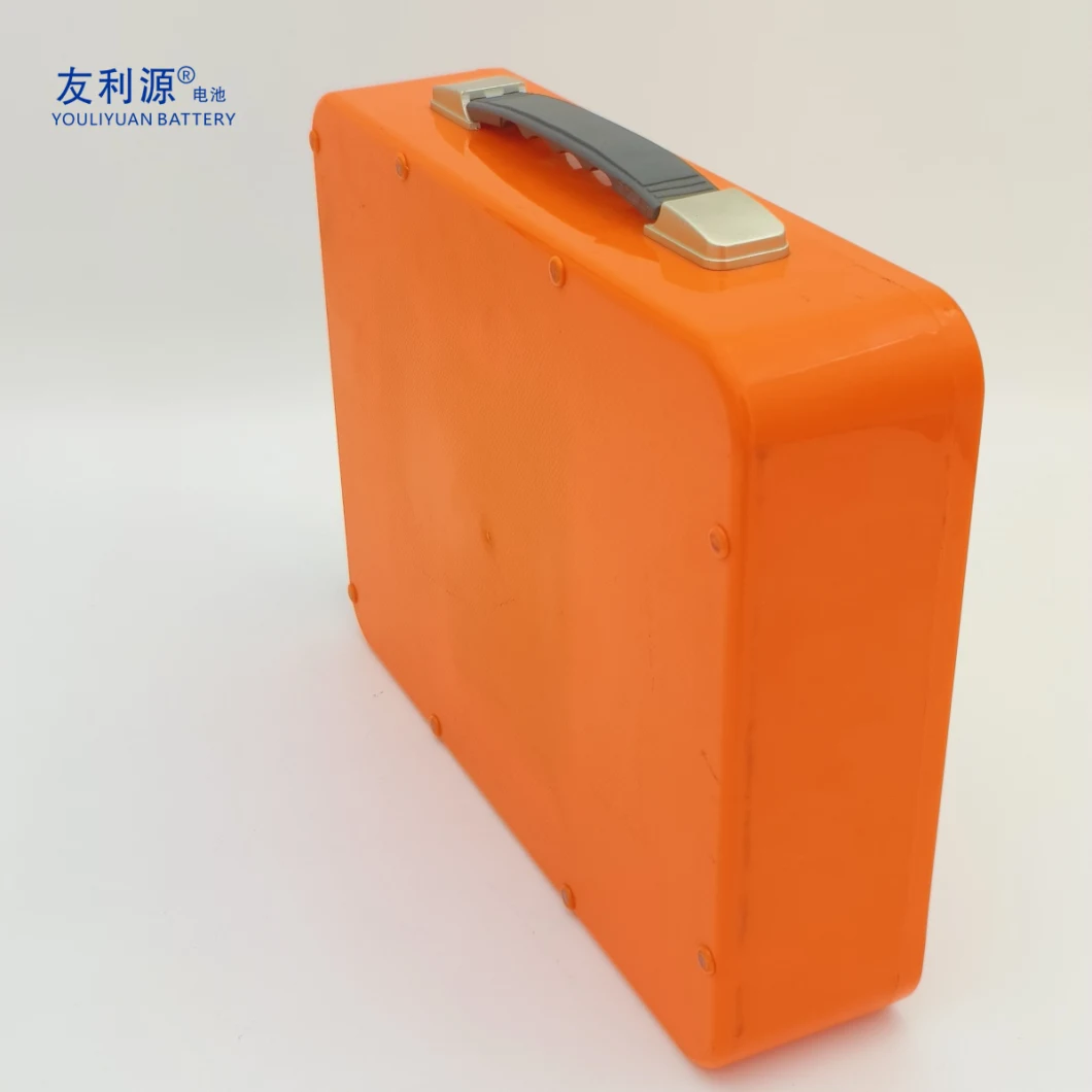 Portable LiFePO4 Battery 26650 8s6p 25.6V 21ah EV UPS Home Appliance Lithium Iron Phosphate Battery Pack