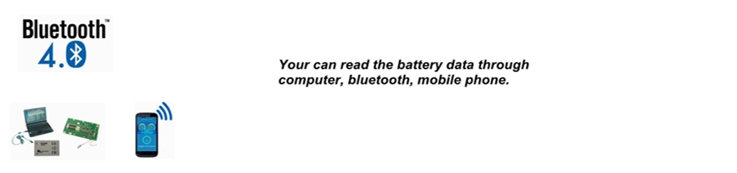 LiFePO4 Battery Pack 12V 24V 48V 50ah 100ah 200ah Deep Cycle Lithium Iron Phosphate Battery BMS Protect High Performance for Golf Cart EV RV