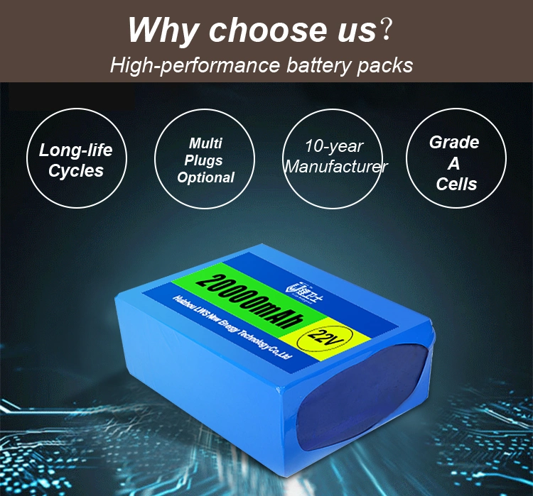 Lws Volt LiFePO4 Battery Pack 12V 24V 36V 48V 60V 72V 40ah 50ah 60ah 100ah Electric Bicycle Lithium Ion Battery