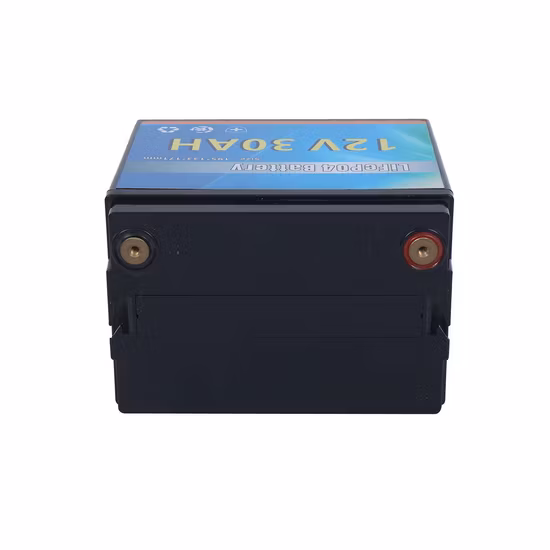 12 Volt 12V 7ah 10ah 12ah 20ah 30ah 40ah 60ah 80ah 200ah 500ah LiFePO4 Lithium-Eisenphosphat-Batterie