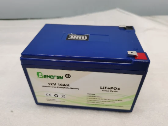 Lithium-Ionen-LiFePO4-Akku mit langer Lebensdauer, 12 V, 10 Ah, mit BMS